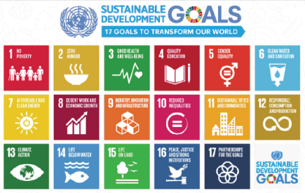 UN SDG program
